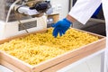 Making of pasta, process and separation food Royalty Free Stock Photo