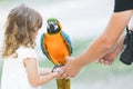 Making photo of exotic animals. Little girl with macaw parrot.