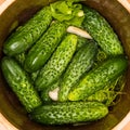 Making pickled cucumbers in clay jar Royalty Free Stock Photo