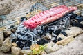 Making pork ribs on homemade improvised BBQ barbecue grill.