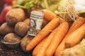 Making profit from organic farming Royalty Free Stock Photo