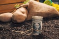 Making profit from organic farming of potato and parsley Royalty Free Stock Photo