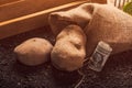 Making profit from organic farming of potato Royalty Free Stock Photo