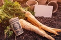 Making profit from organic parsley farming