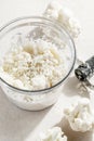 Making raw grated cauliflower in food processor