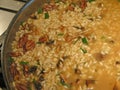 Making risotto - frying arborio rice Royalty Free Stock Photo