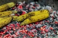 Making roasted corn on the cob Royalty Free Stock Photo