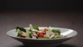 making salad cheese flakes fall over romaine leaves in white bowl Royalty Free Stock Photo