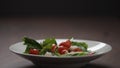 making salad cherry tomatoes fall over romaine leaves in white bowl Royalty Free Stock Photo