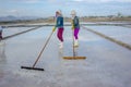 Making salt in Phan Rang Ninh Thuan Vietnam Royalty Free Stock Photo