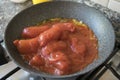 Making sauce with peeled plum tomatoes Royalty Free Stock Photo