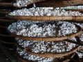 The making of silk - trays of silk worms Royalty Free Stock Photo