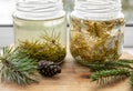 Making syrup of fresh pine needles and spruce needles.