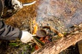 Making tea at the stake during a hike Royalty Free Stock Photo