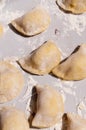 Making traditional food pierogy Royalty Free Stock Photo