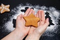 Making traditional gingerbread cookies. Holiday baking, dessert Royalty Free Stock Photo