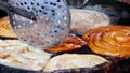 Indian street food-making of Jilebi or jalebi ,a popular sweet