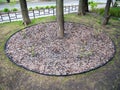 Making the tree trunk circle with bark filling