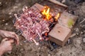 Making Turkish barbecue, raw meats close-up Royalty Free Stock Photo