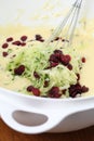 Making zucchini bread with cranberries Royalty Free Stock Photo