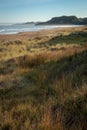 Makorori Beach, Gisborne, New Zealand