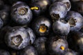 Makro close up of group fresh ripe blueberries