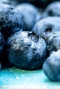 Makro closeup from fresh harvested Blueberries or huckleberries