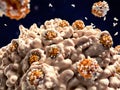 Makrophage engulfing an destroying coronaviruses