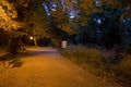 Maksimir park at night