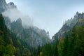 Mala Fatra mountain, Slovakia. Yellow trees. Autumn forest, many trees in hills, Fall landscape. Wood with colours tree. Rainy day