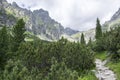 Mala studena dolina hiking trail in High Tatras, summer touristic season, wild nature, touristic trail