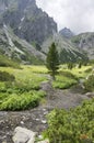 Malá studená dolina turistický chodník vo Vysokých Tatrách, letná turistická sezóna, divoká príroda, turistický chodník