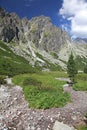 Mala studena dolina - valley in High Tatras, Slova