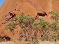 The mala walk around Ayers Rock Royalty Free Stock Photo