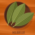 Malabar cassia leaf flat design vector icon.