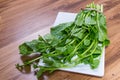 Malabar spinach Royalty Free Stock Photo