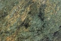 Malachite deep green natural marble grunge texture