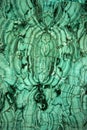 Malachite Royalty Free Stock Photo