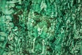 Malachite Royalty Free Stock Photo