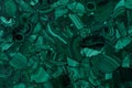 Malachite stone texture, background in contrast green color for unique design. Royalty Free Stock Photo