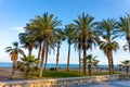 Malaga beach with palm trees Playa de la Carihuela, Torremolinos, Costa del Sol Occidental, Malaga, Andalusia, Spain Royalty Free Stock Photo