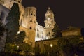 Malaga Cathedral at night