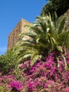 Malaga Royalty Free Stock Photo