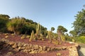 Conception garden, Jardin la concepcion in Malaga with cactus, Spain, Europe Royalty Free Stock Photo