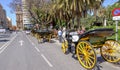 MALAGA, SPAIN - JUNE, 14: Horsemen and carriages in the city streets on June, 14, 2013 in Malaga, Spain