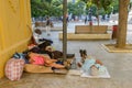 MALAGA, SPAIN - SEPTEMBER 3: Group of homeless artist people on the streets