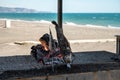 Malaga style of preparation of fresh fish, catch of the day, on skewers and open flame on fireplace with olive trees wood