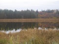 Malagash in Fall