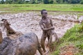 Malagasy farmers plowing agricultural field