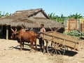 Malagasy natives